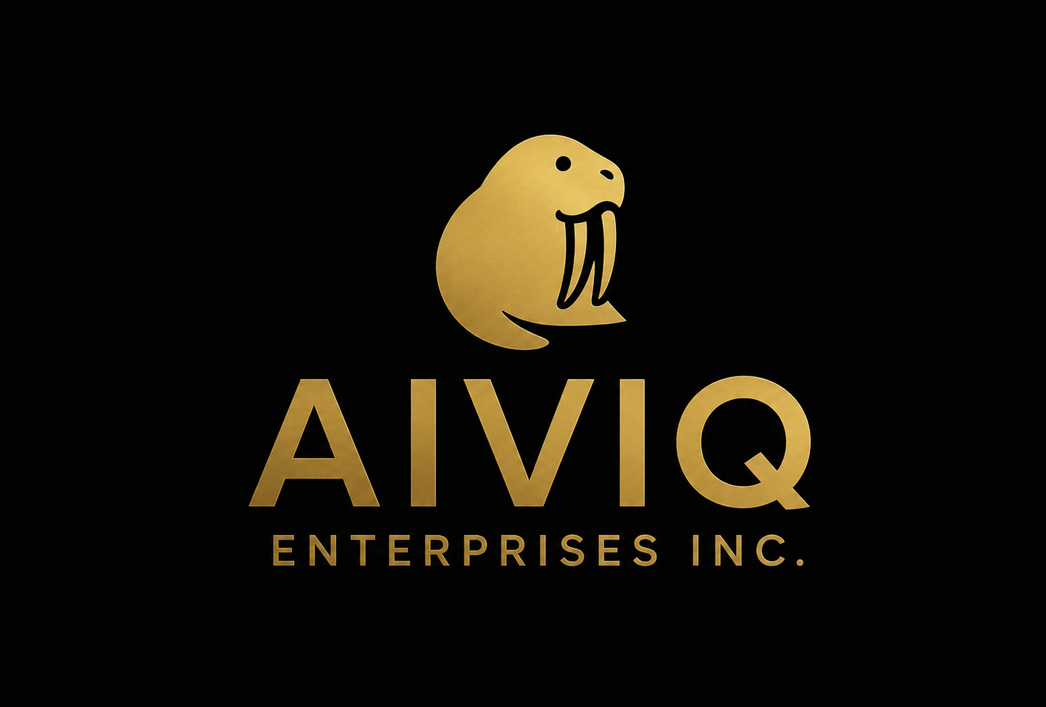 AIVIQ Enterprises
